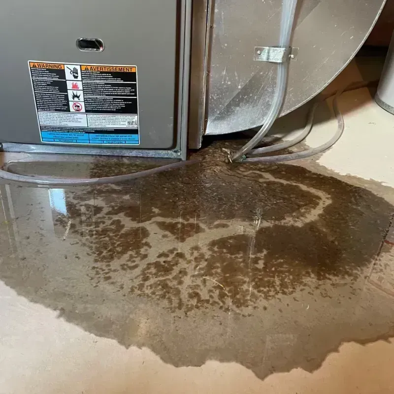 Appliance Leak Cleanup in Seaside, OR